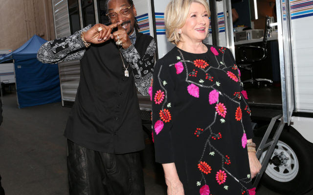 Snoop Dogg And Martha Stewart Team Up For Puppy Bowl XVII